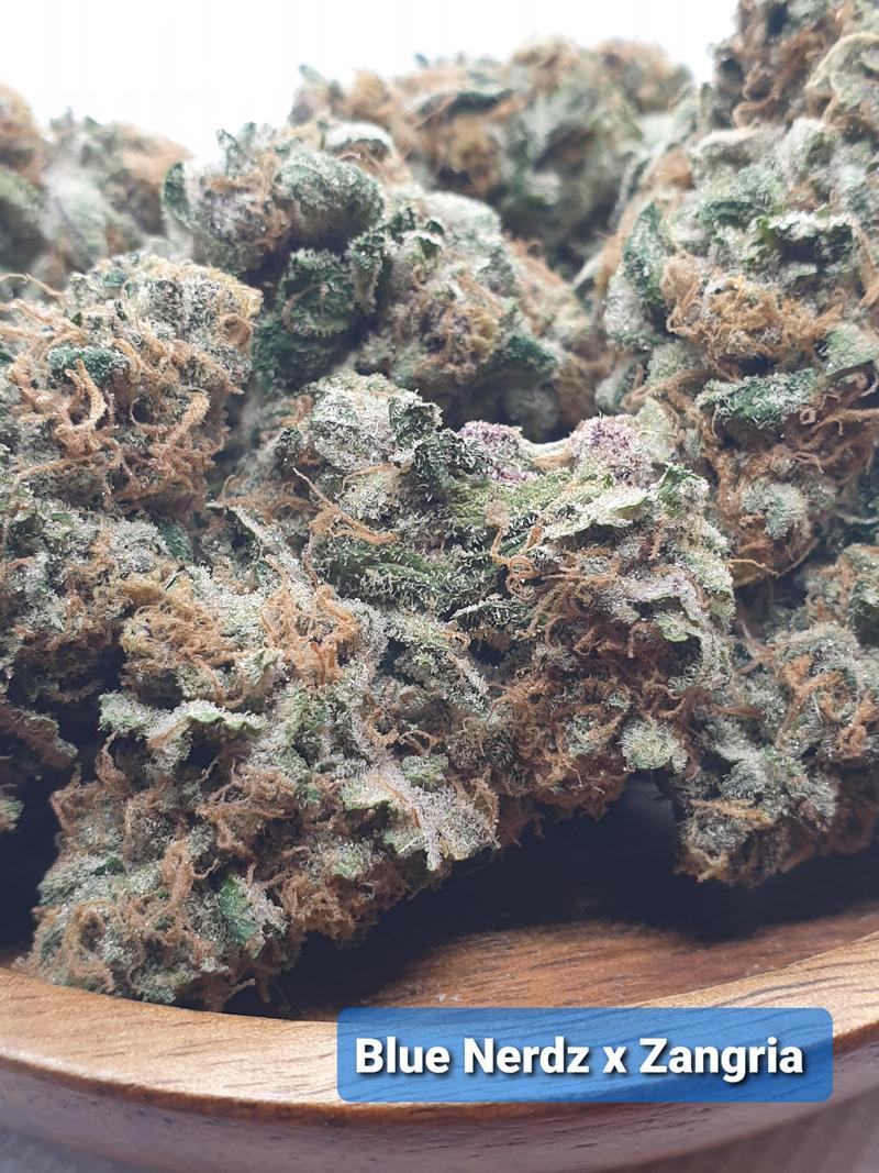 [Exclusive] Top Shelf UK