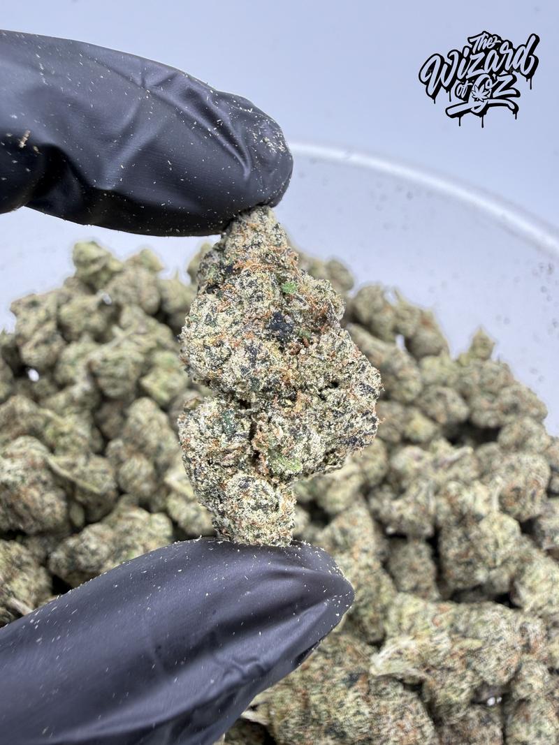 The TenCo Strain: Beni Madonna