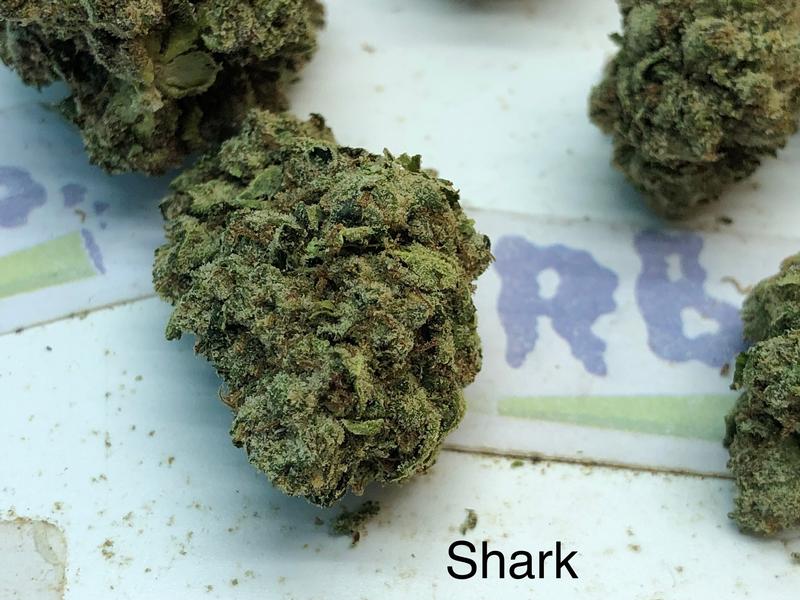 UK Exotics
