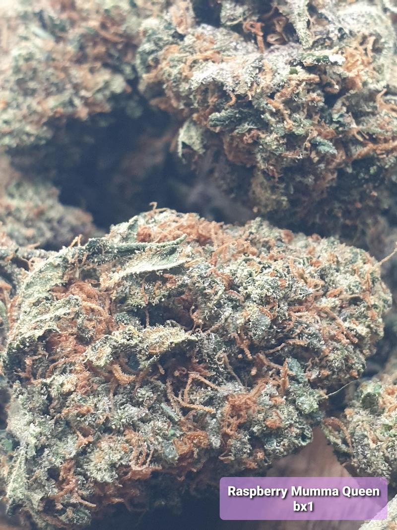 Organic living soil flower