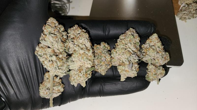 UK GROWN FLOWER