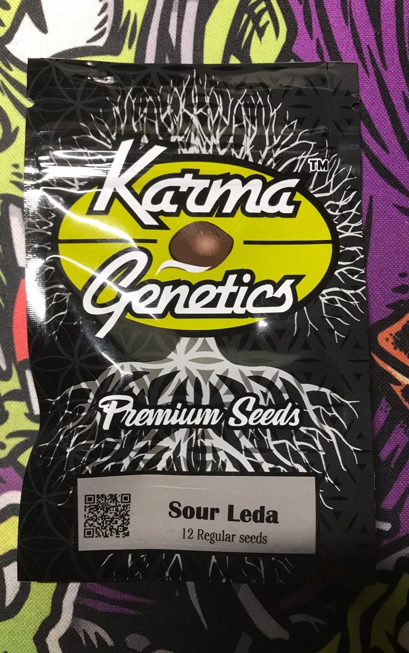 Karma Genetics