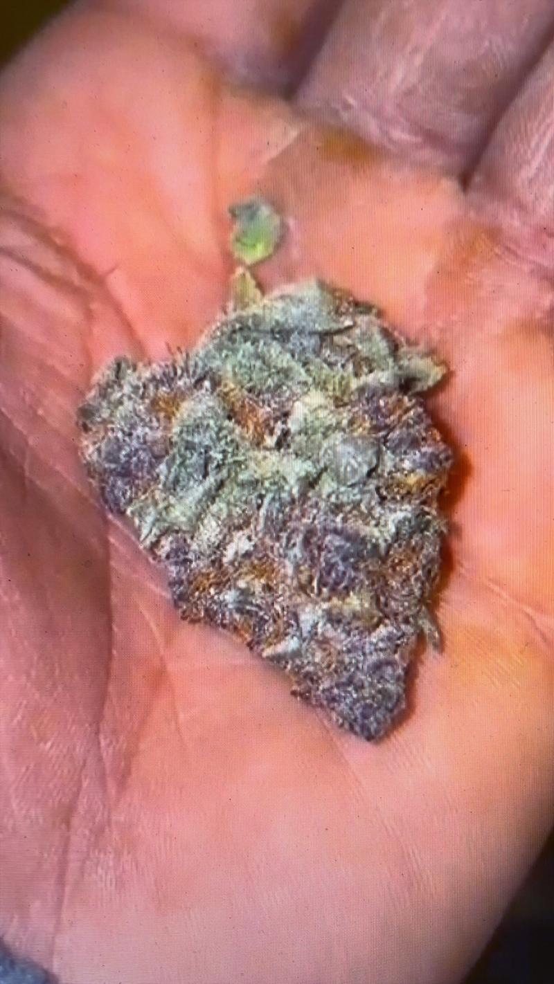 CANDY TARTZ 70% Indica AVAILABLE ON MARCH 5, PRE-ORDER