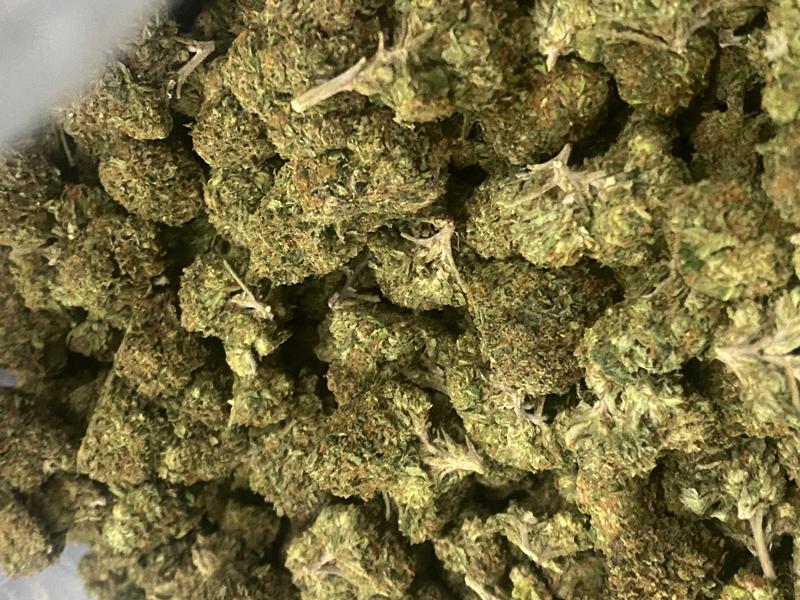 California Mids (FREE T24)