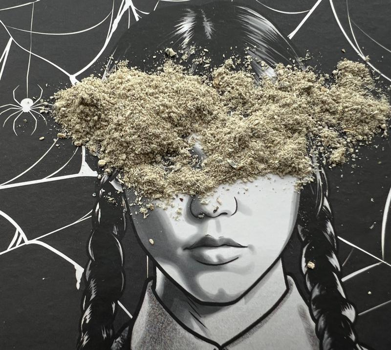 Magic Mushroom: Mad Magical Mashup POWDER