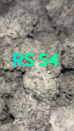 UK BUD'S