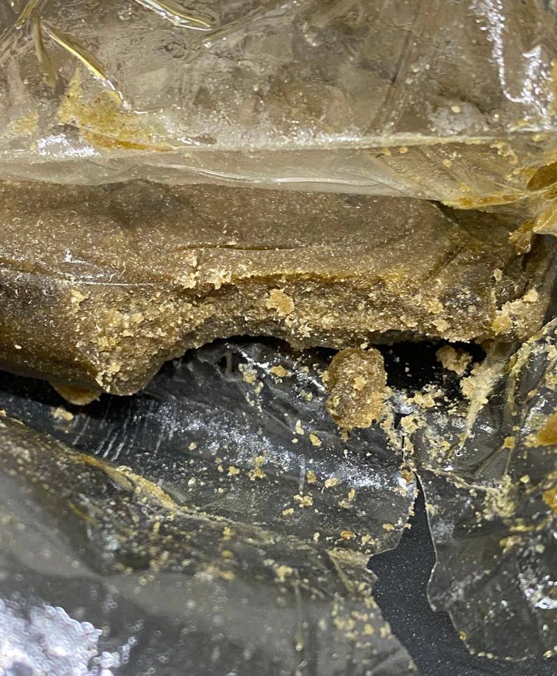 Banana Pie Whole Plant Fresh 🍌