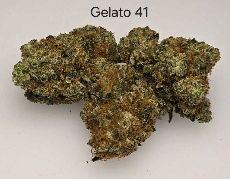 Make an oz for £160! ( Free T24 )