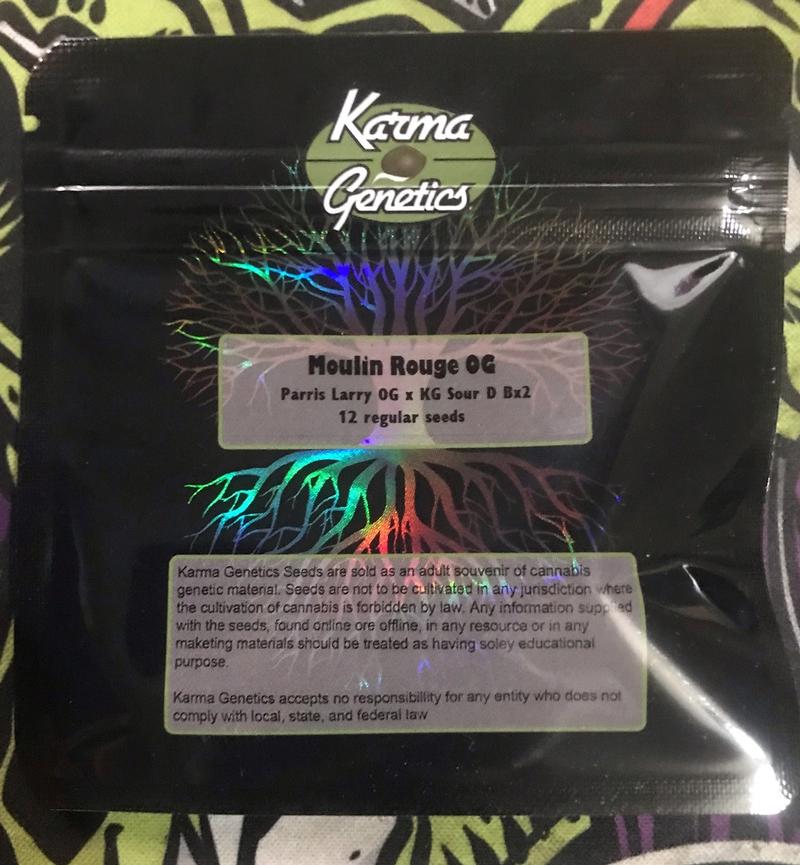 Karma Genetics