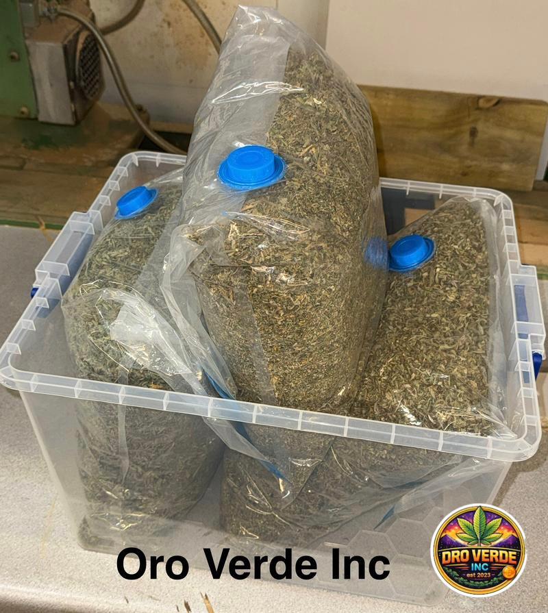 Popcorn buds / shake 🇬🇧