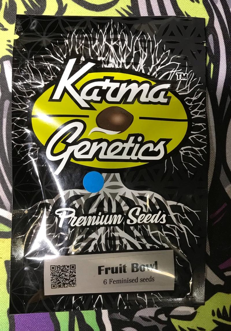 Karma Genetics
