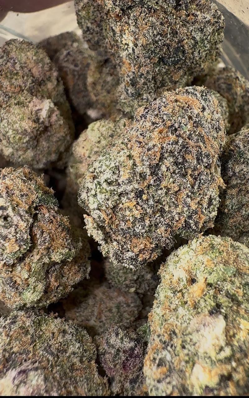 MEGA DARK Z - INDOOR CALI