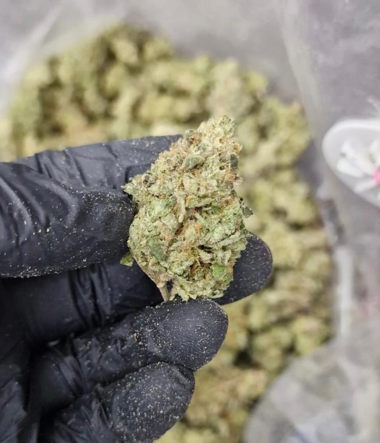 Z11 - Fruity Zkittles Real Deal Cut