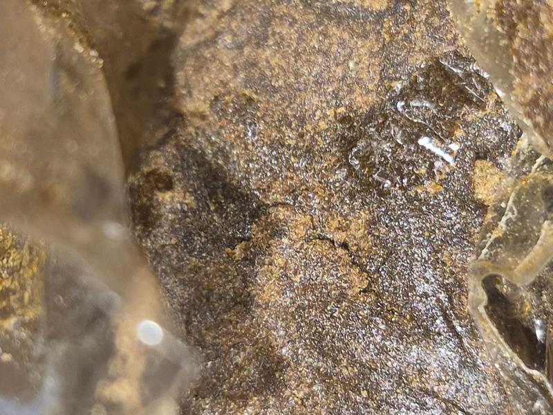 Dy's Dankest Hash Bars