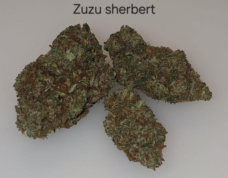 Make an oz for £160! ( Free T24 )