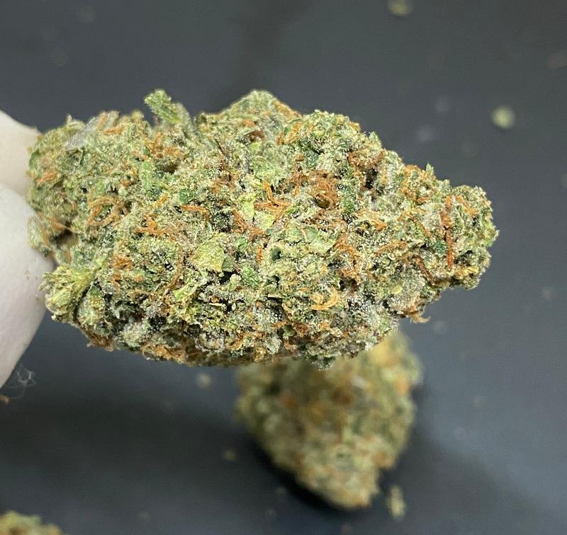 Britscotti - Boutique UK Grown - Top Shelf Hydroponics