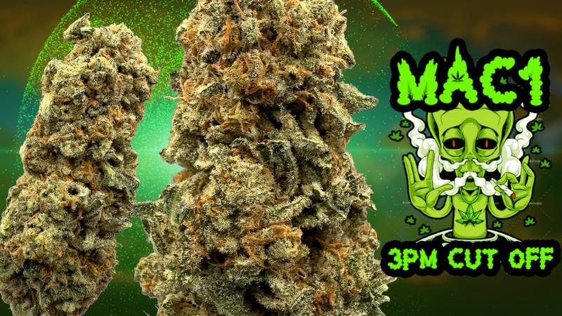 UK BUD'S