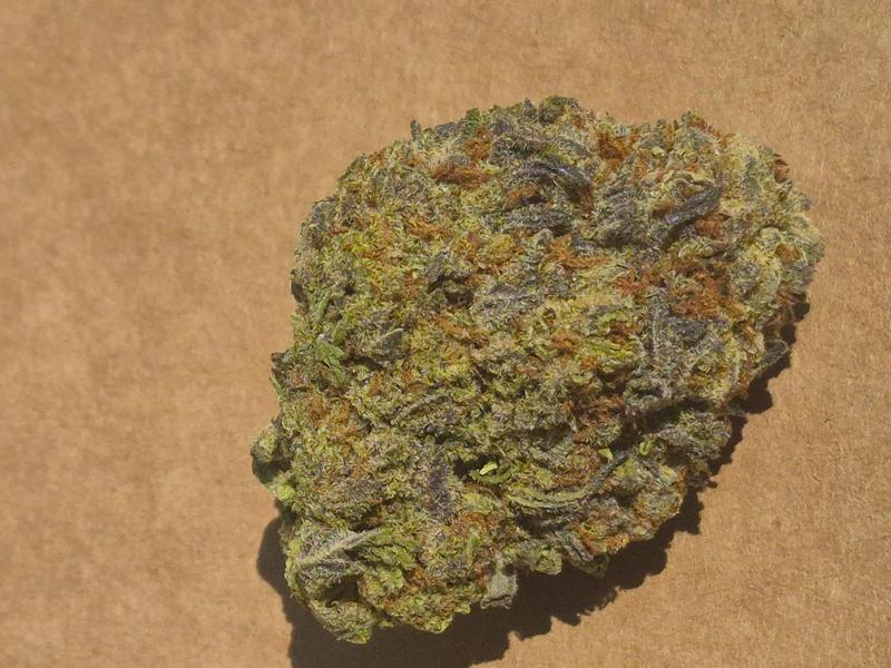 Animal Cookies