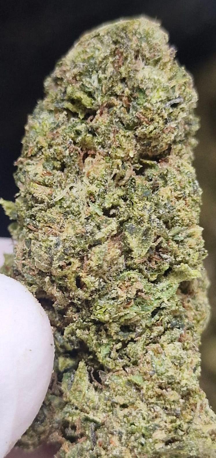 Mendo Breath - Cakey and cookie smell - Dapper Dank
