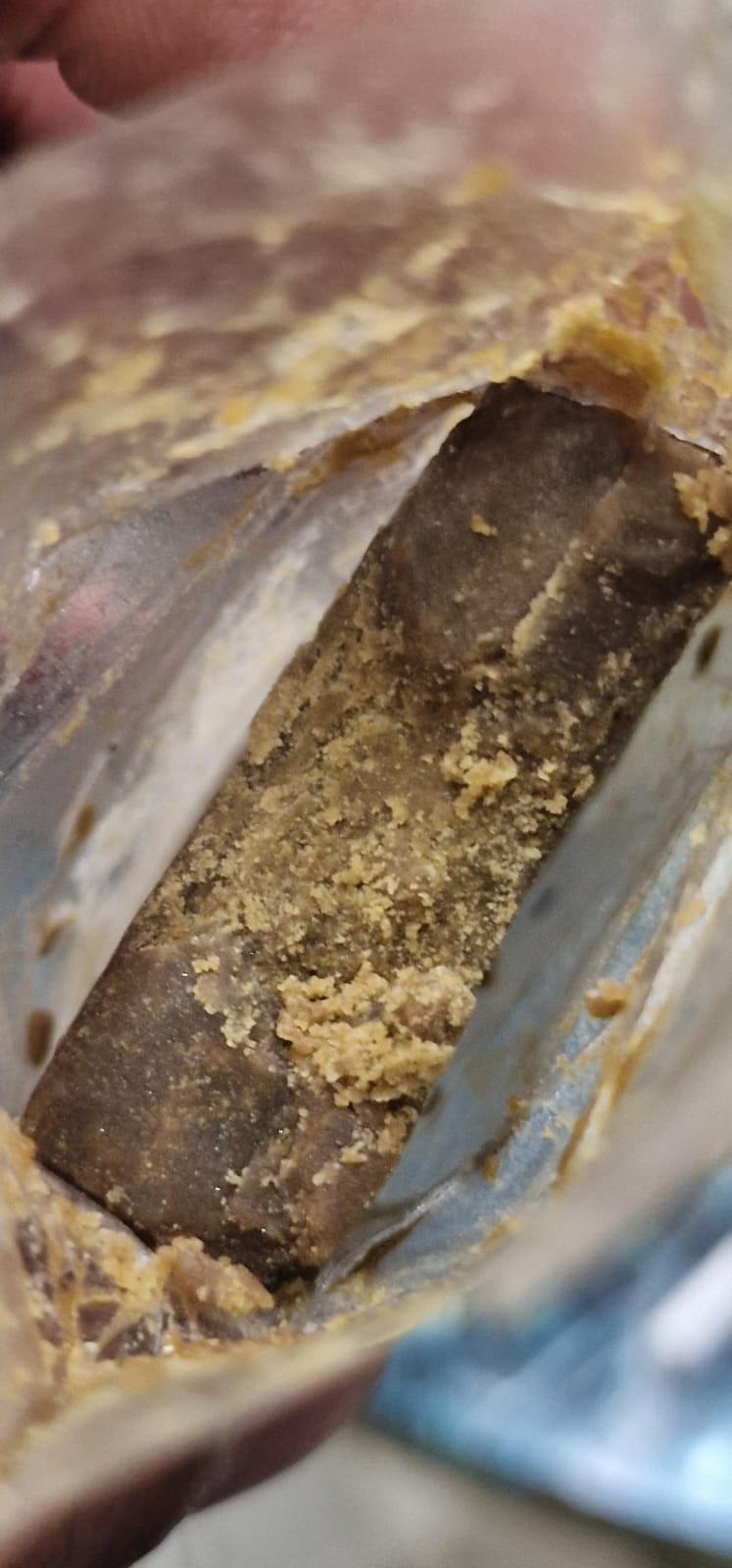 Humboldt Static Hash 🏔 🇺🇸 ⚡️