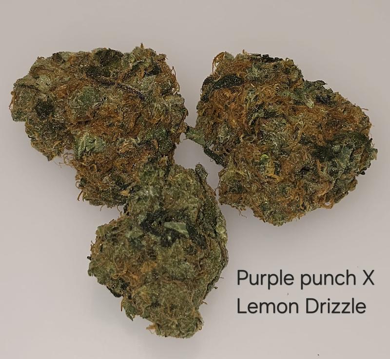 Make an oz for £160! ( Free T24 )
