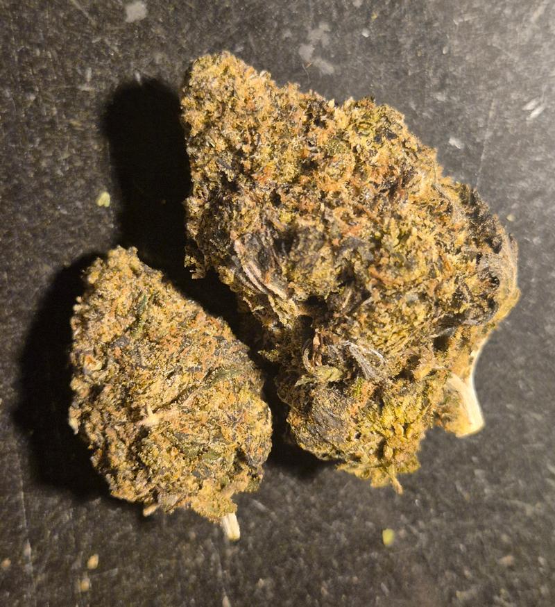 Bubblegum Gelato