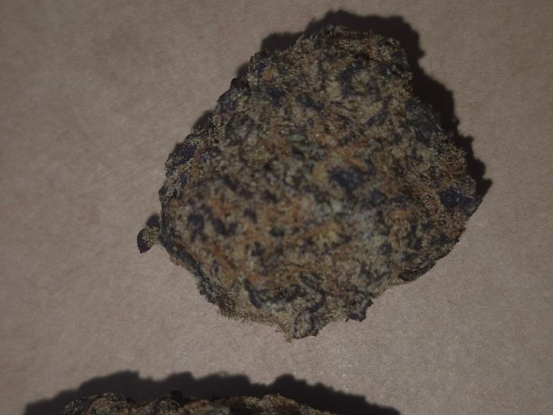 JELLY TRUFFLE