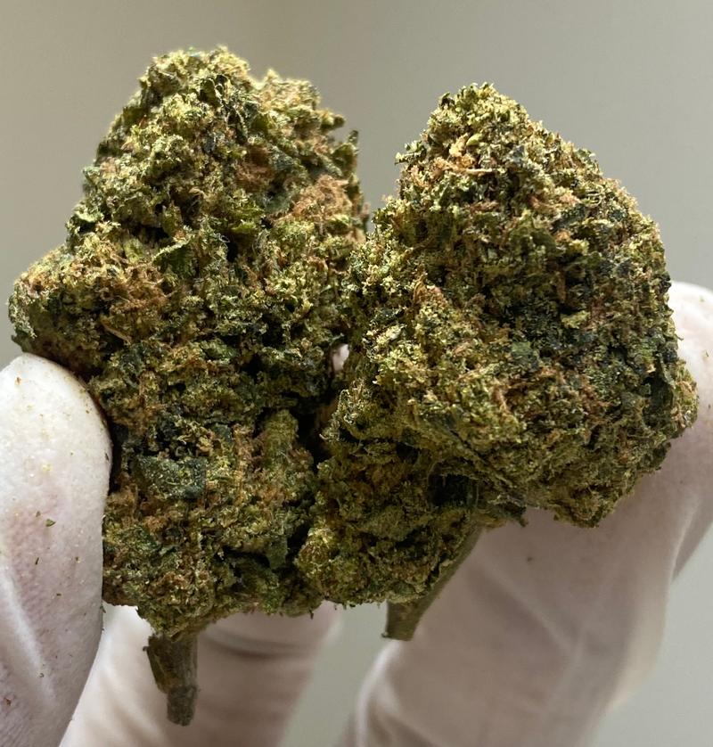 Gusher’s Exotic Flavour Strain - Dank Terps