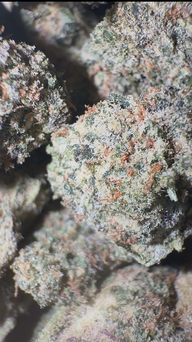 RAINBOW RUNTZ AAA MIDS