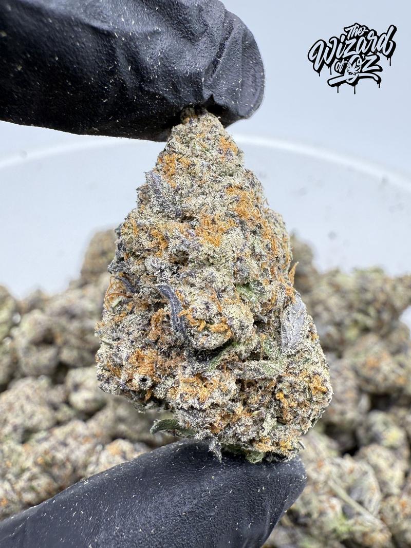 Mr Gelatti Strain: Nieve De Lemon