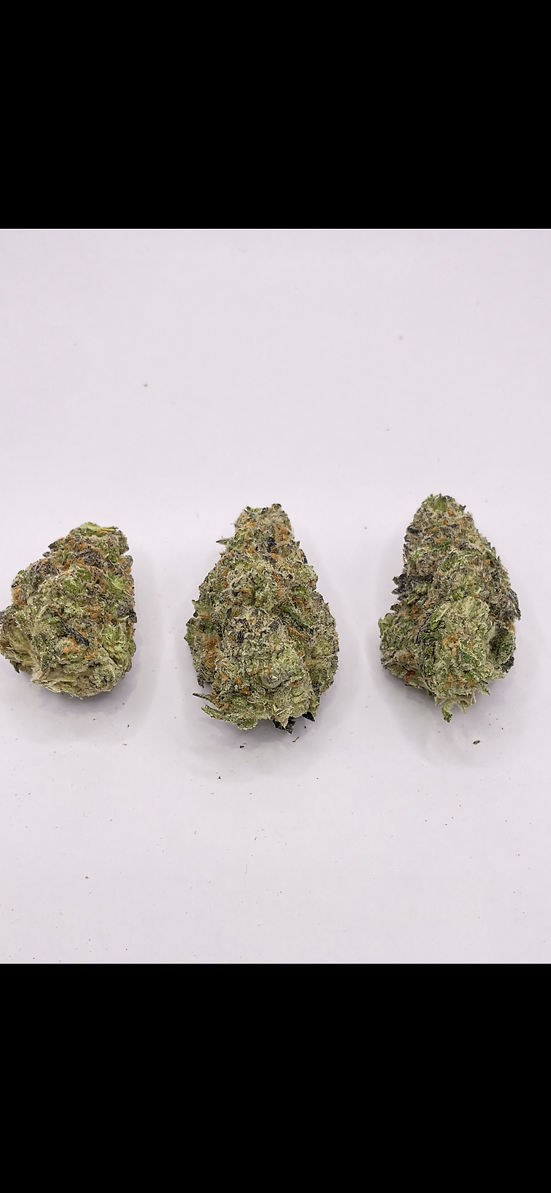 WHITE GUSHERS - EXOTICS
