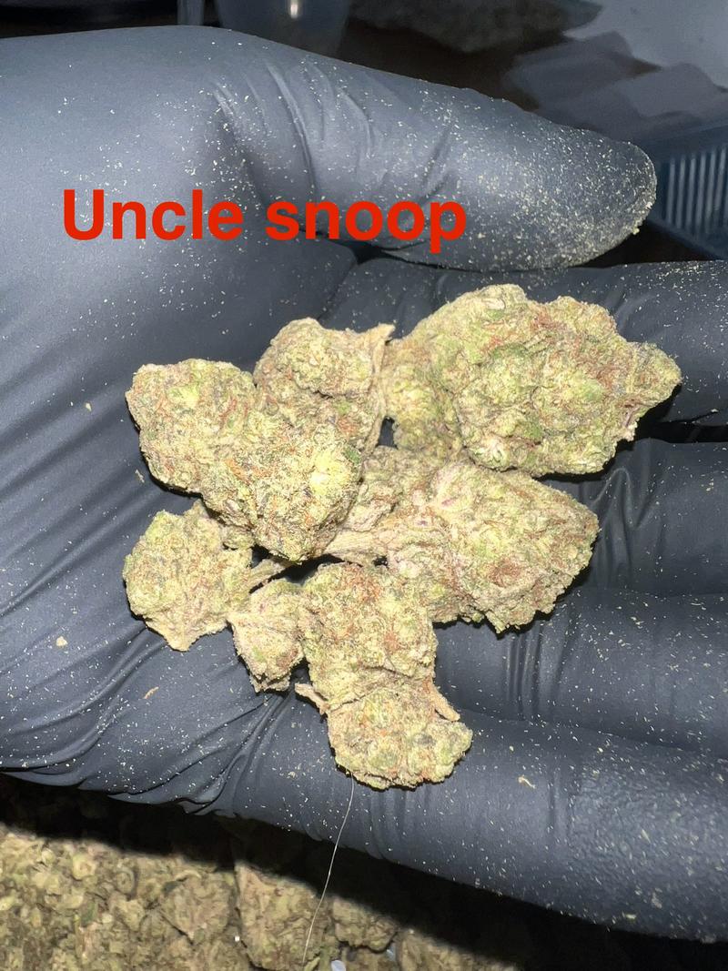 Flower Deals 🇺🇸🇺🇸