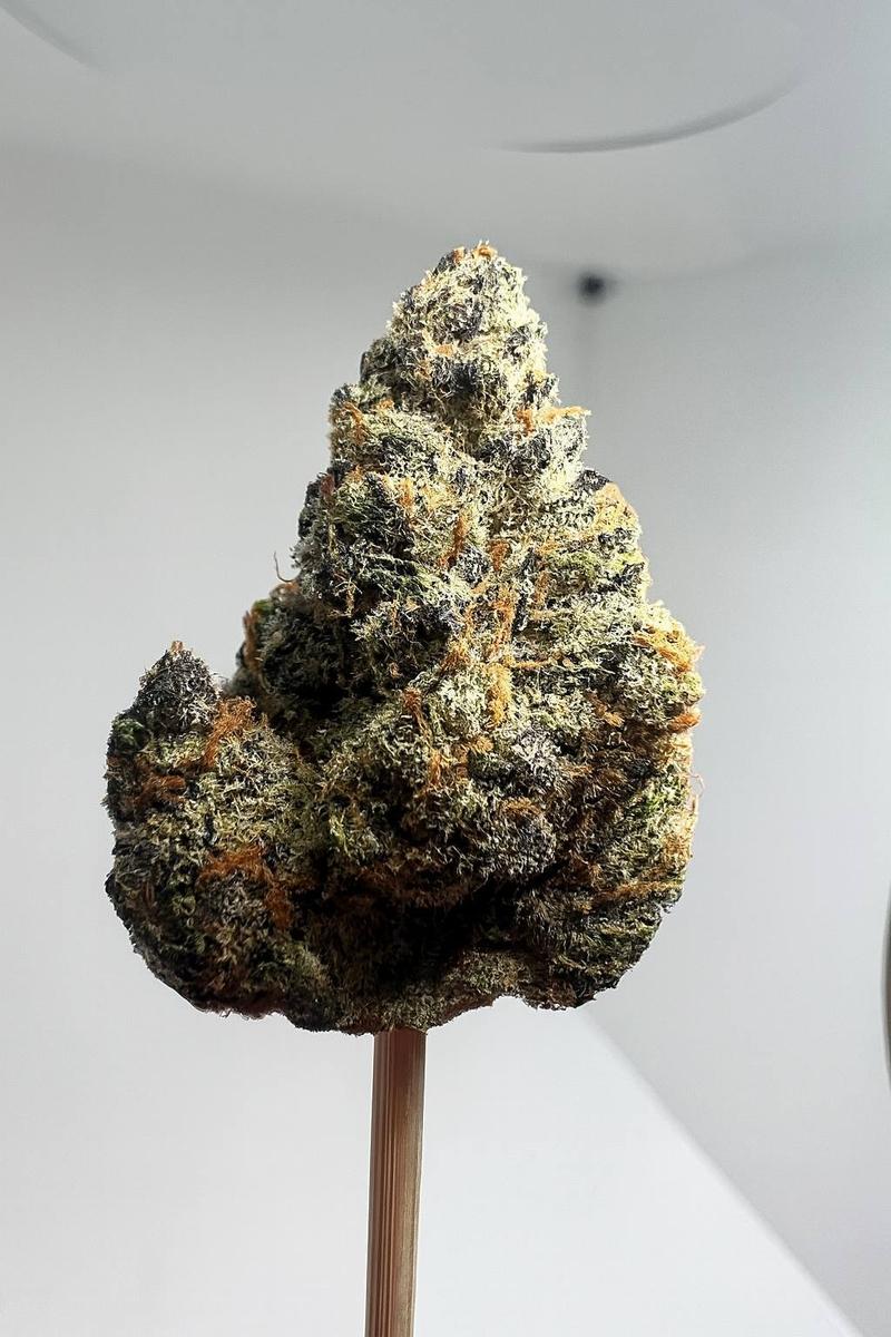 CroConnect's Triple Bundle(3Strains + 1Edible)