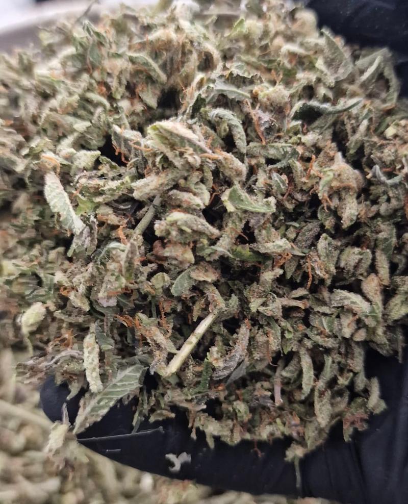 Super High Quality Resinous Gassy StarDawg Shake Potent