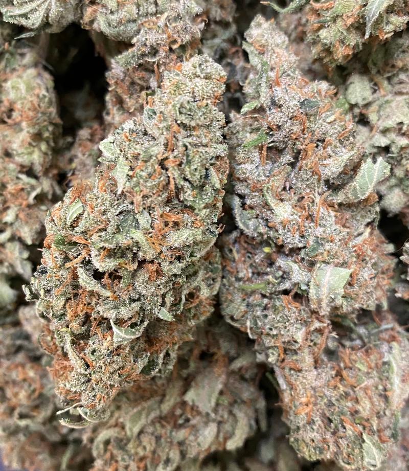 Original Super Silver Haze - S1 - 100% Sativa