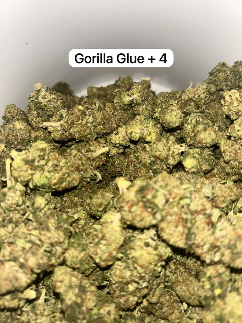 UK BUD'S