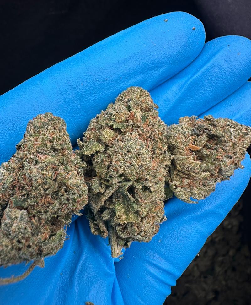 Blue Sunset Sherbet