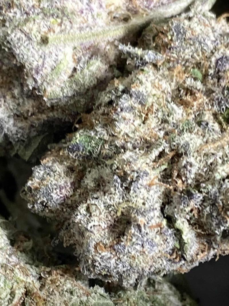 TOP SHELF CALI  (US Import)