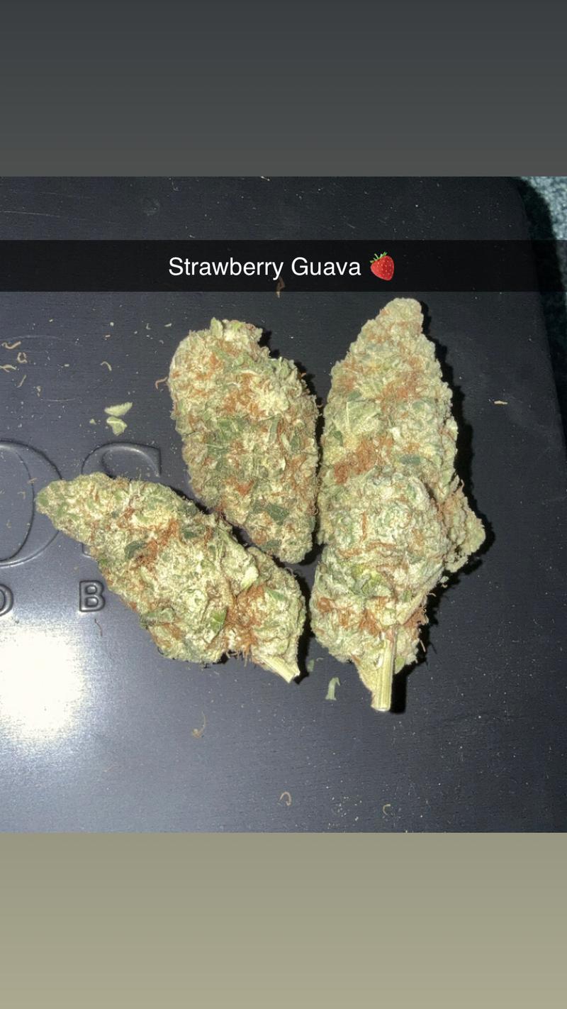 Cherry Sherbet 🍒+ Strawberry Guava 🍓