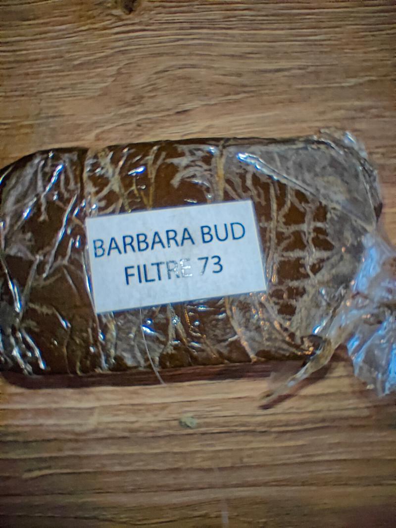 Barbara 73u Frozen