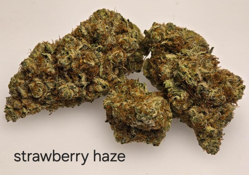 Make an oz for £160! ( Free T24 )