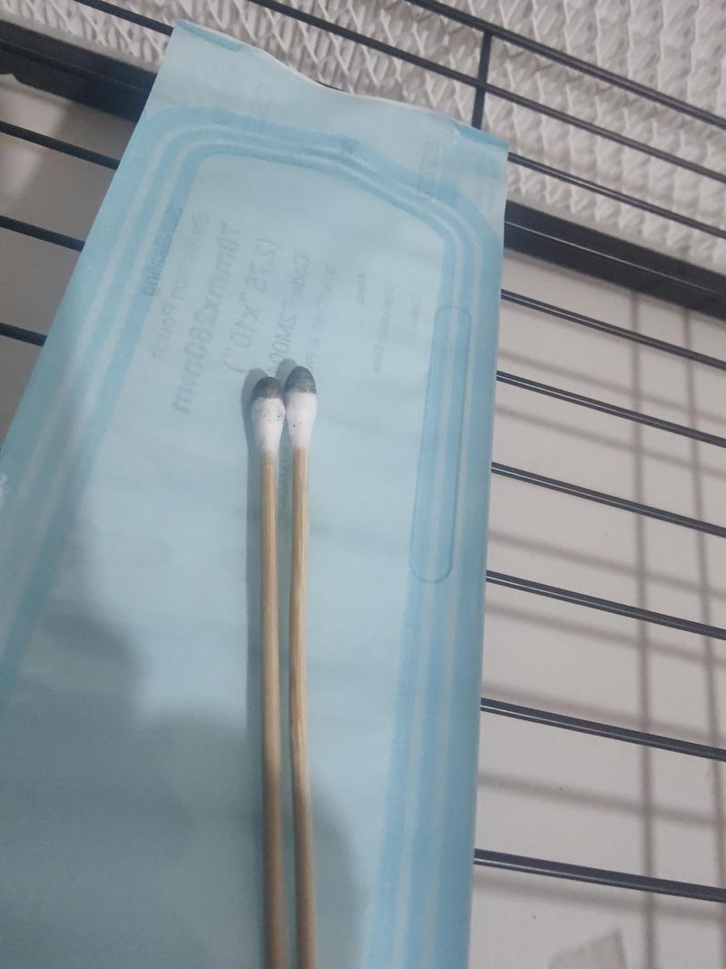 MAGIC MUSHROOM SPORE SWABS