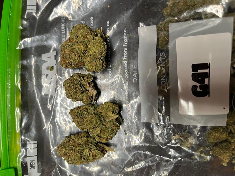 Gelato 41
