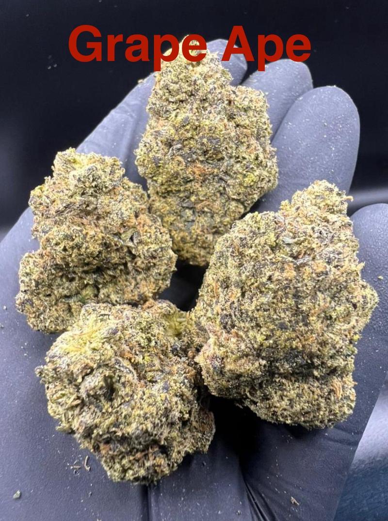 Flower Deals 🇺🇸🇺🇸