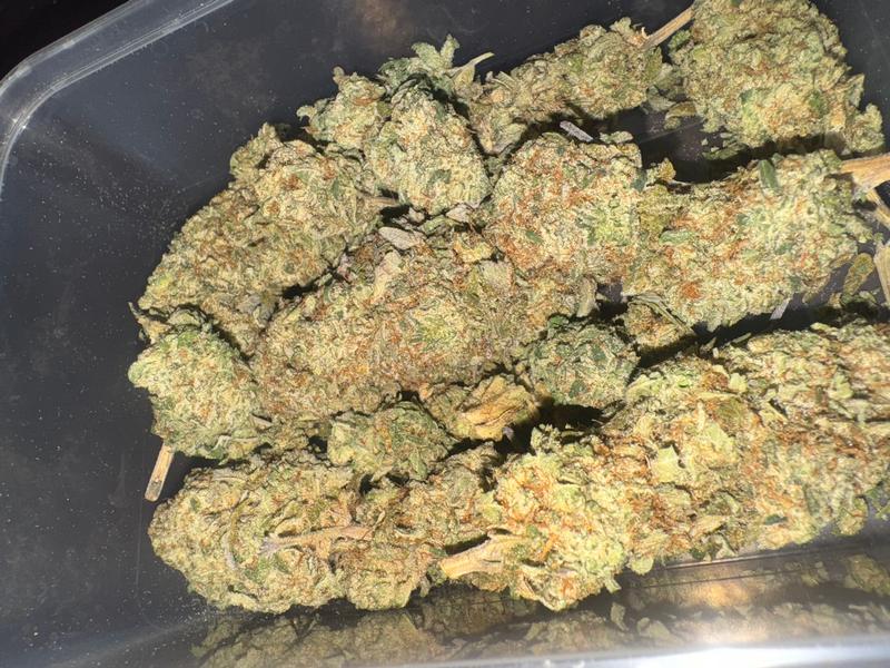 Cherry Pie (Shipped from Spain)