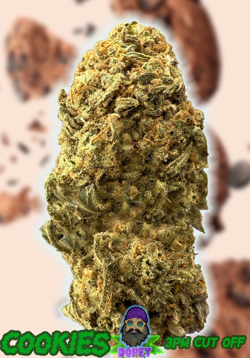UK BUD'S