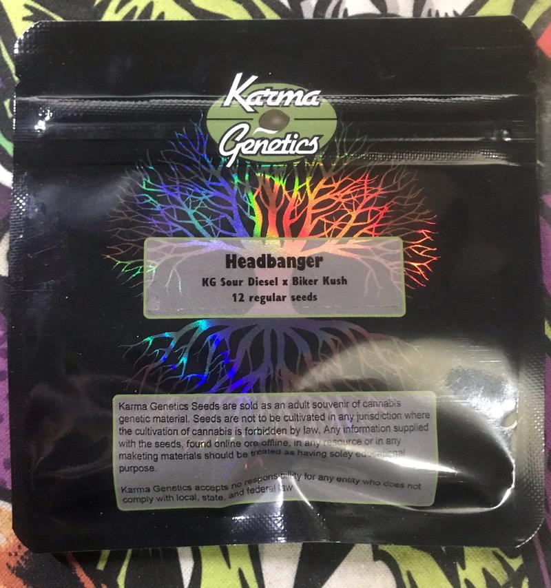 Karma Genetics