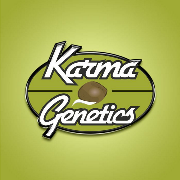 Karma Genetics