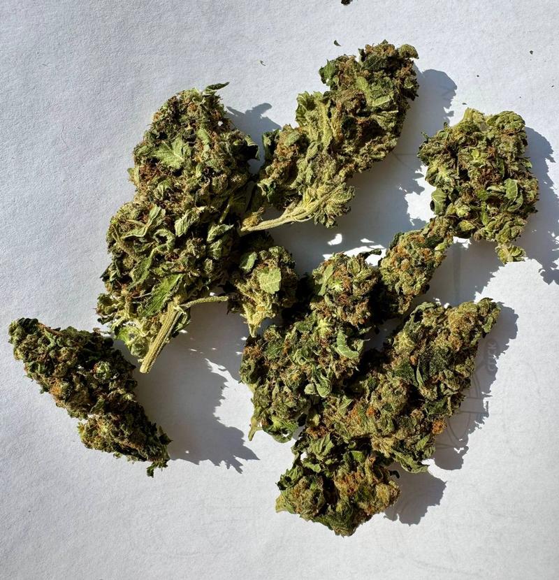 Budget Buds