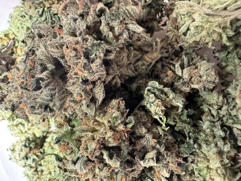 gelato 33